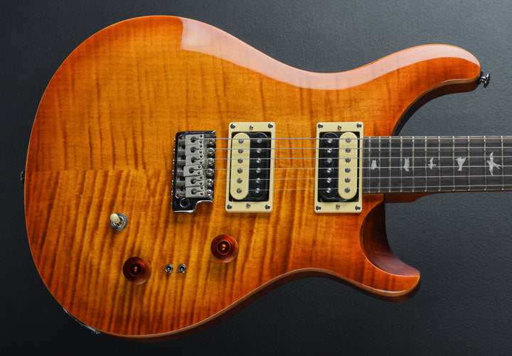 SE Custom 24-08 &