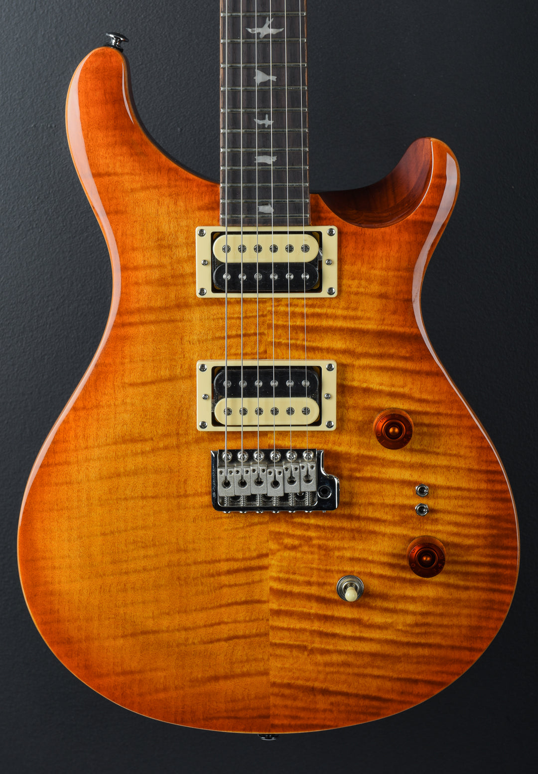 SE Custom 24-08 &