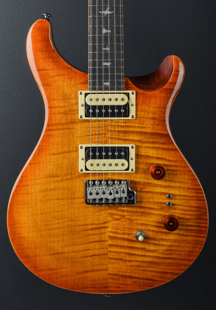 SE Custom 24-08 &