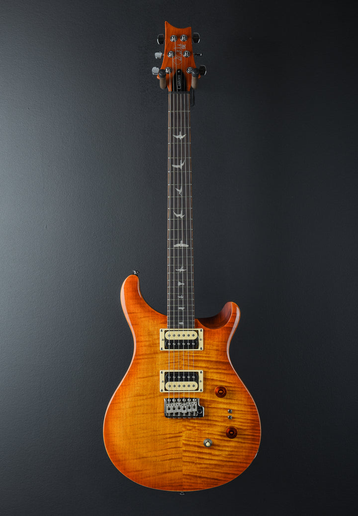 SE Custom 24-08 &