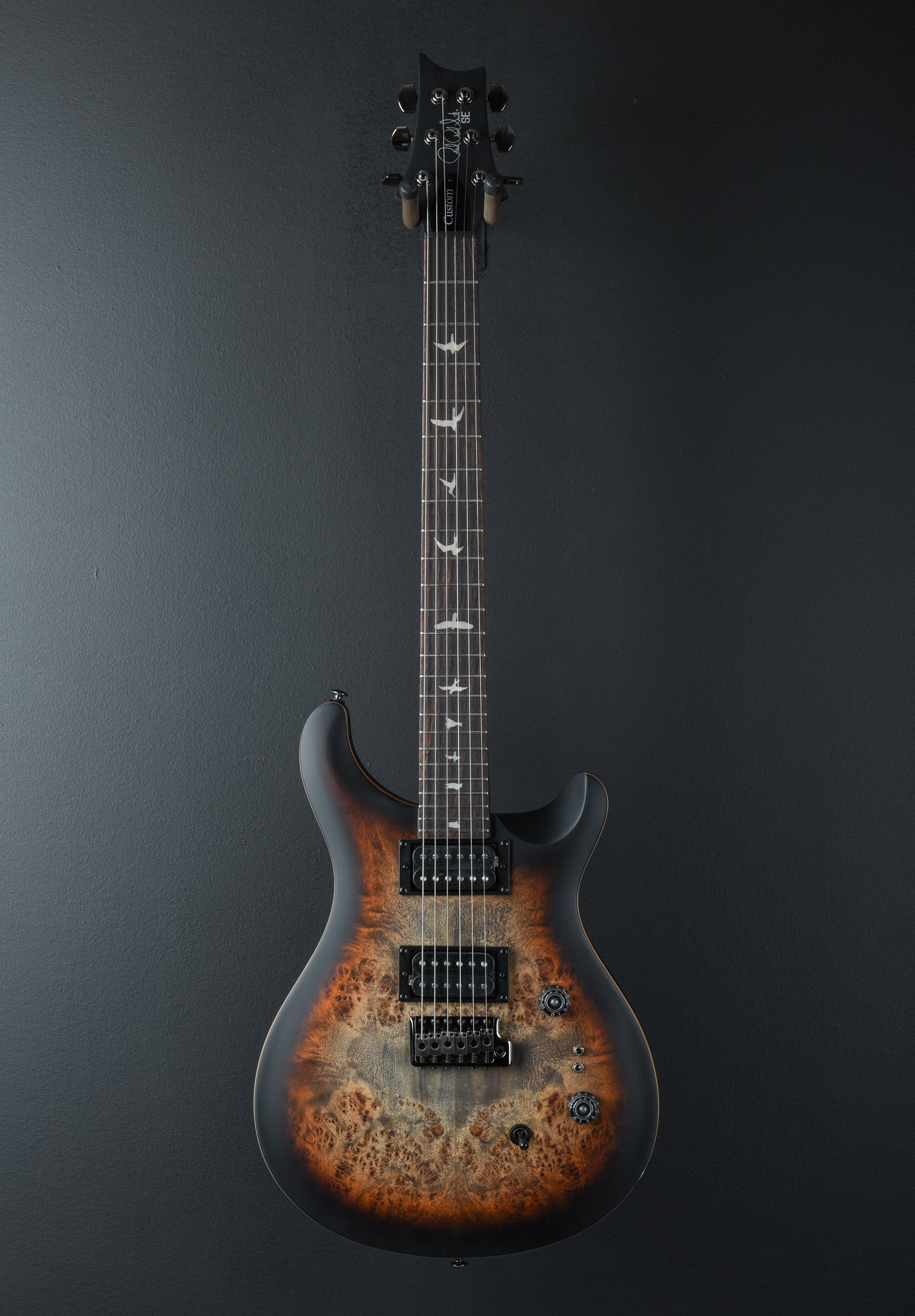 SE Custom 24-08 Poplar Burl Limited Edition '24 – Dave's Guitar Shop