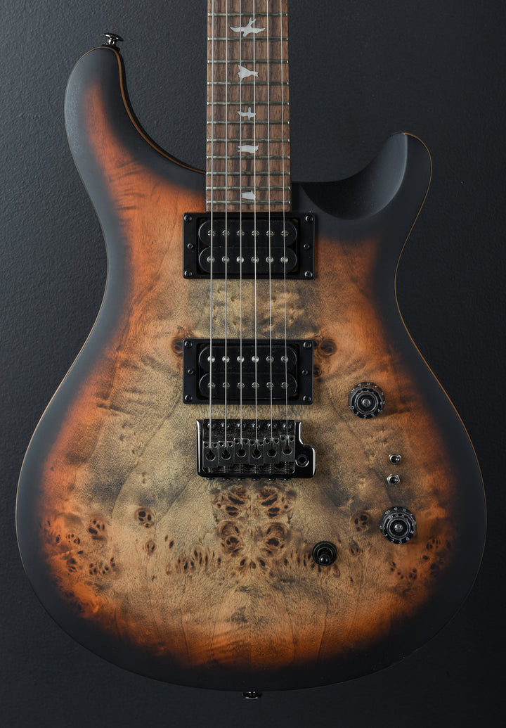 SE Custom 24-08 Poplar Burl Limited Edition &