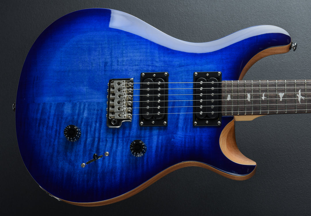 SE Custom 24 &