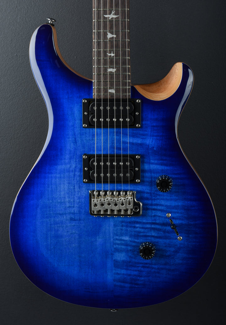 SE Custom 24 &