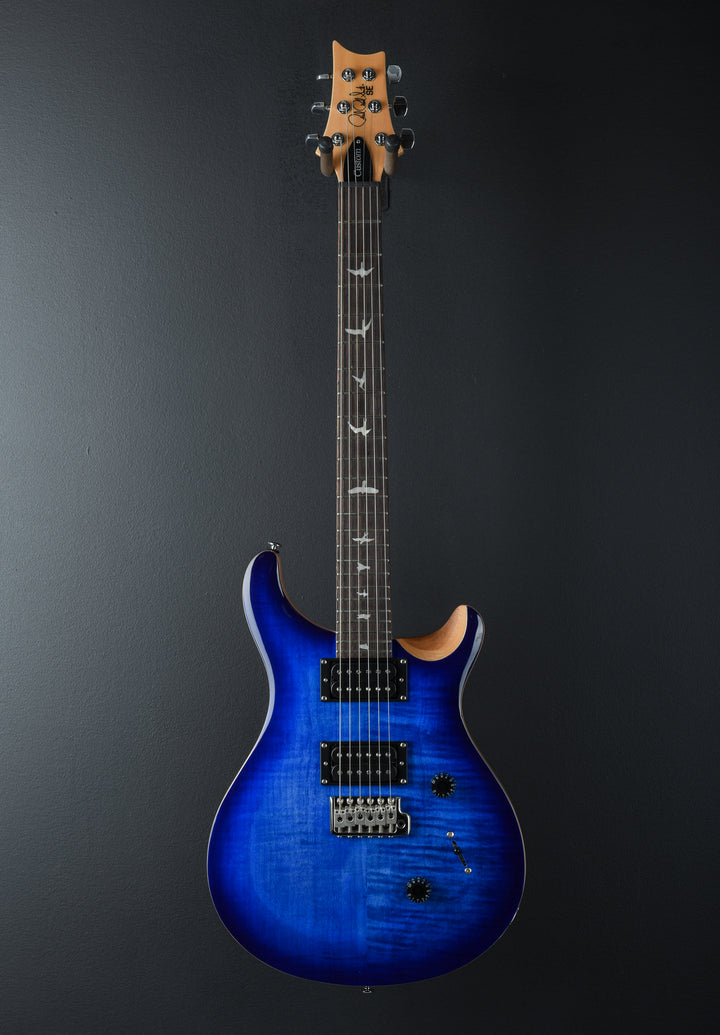 SE Custom 24 &