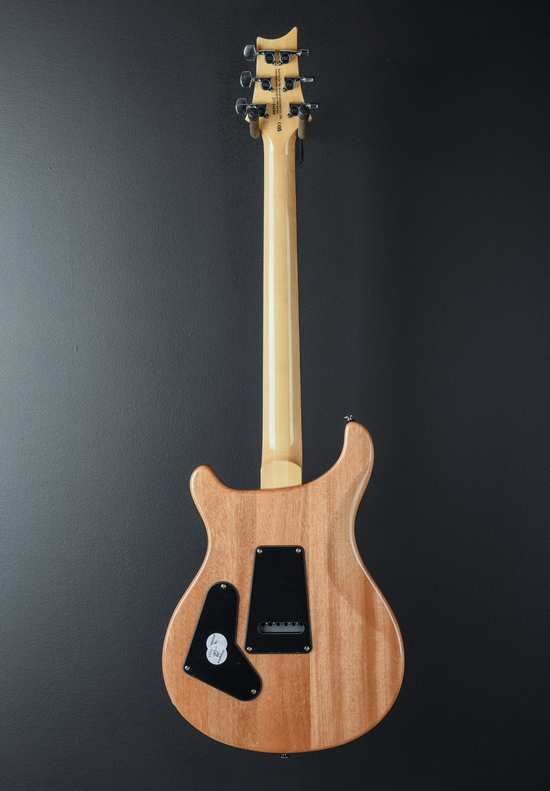 SE Custom 24 &