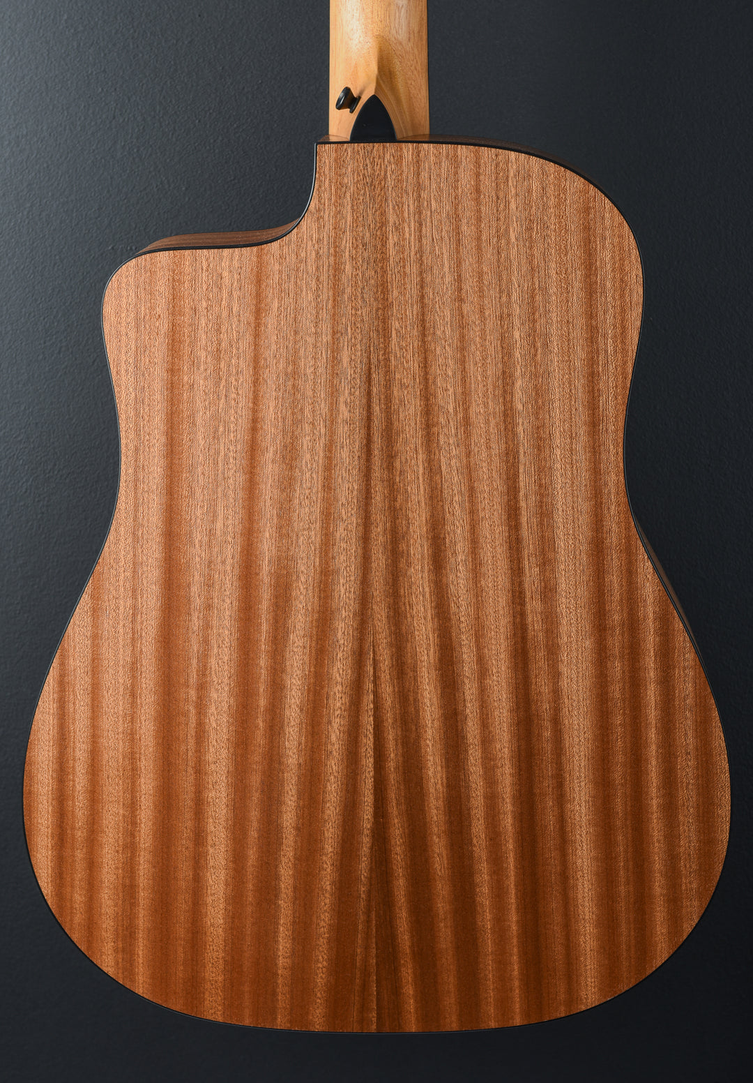 USED 150CE 10 String Bajo Quinto &