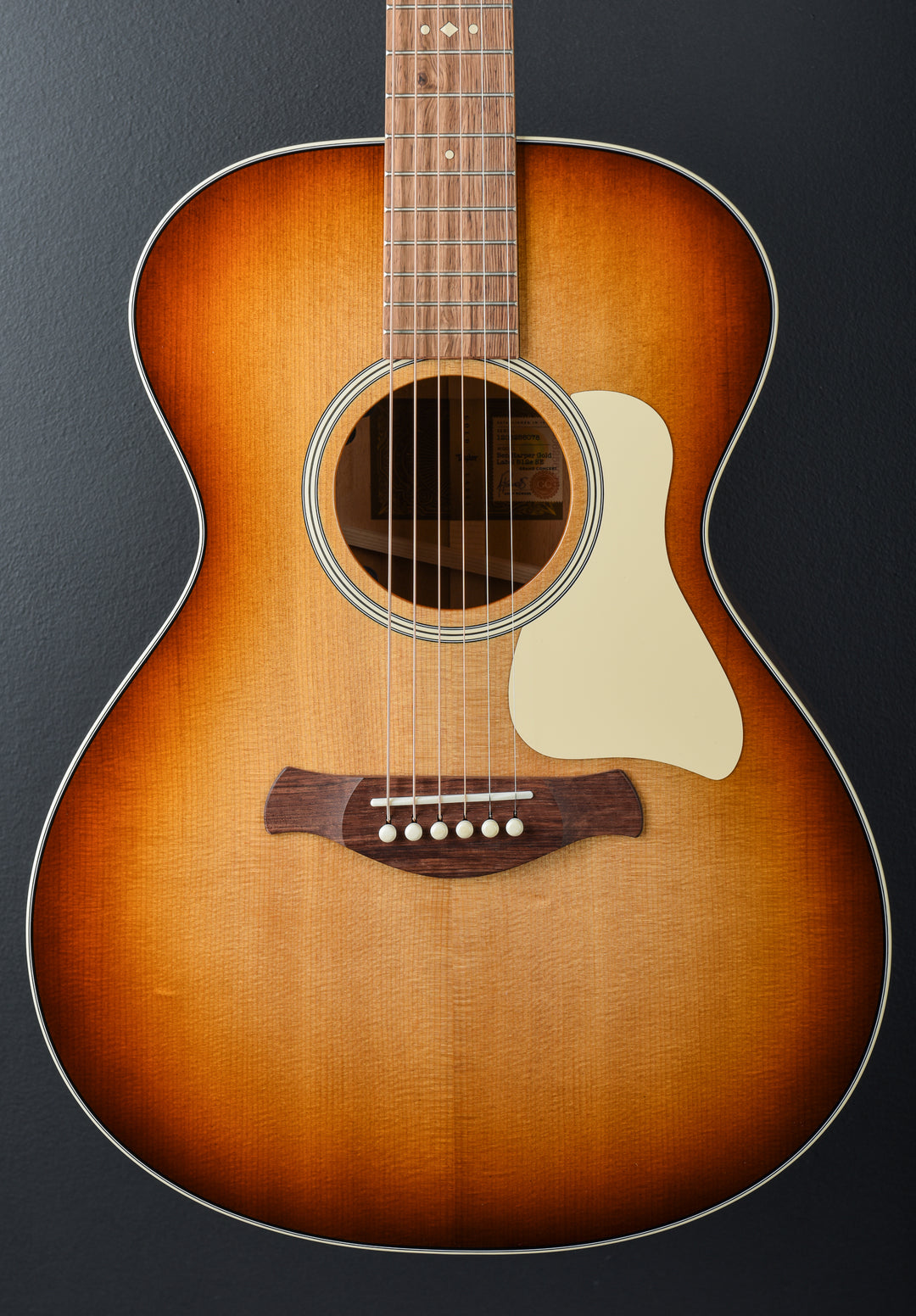 Ben Harper Gold Label 512E Special Edition