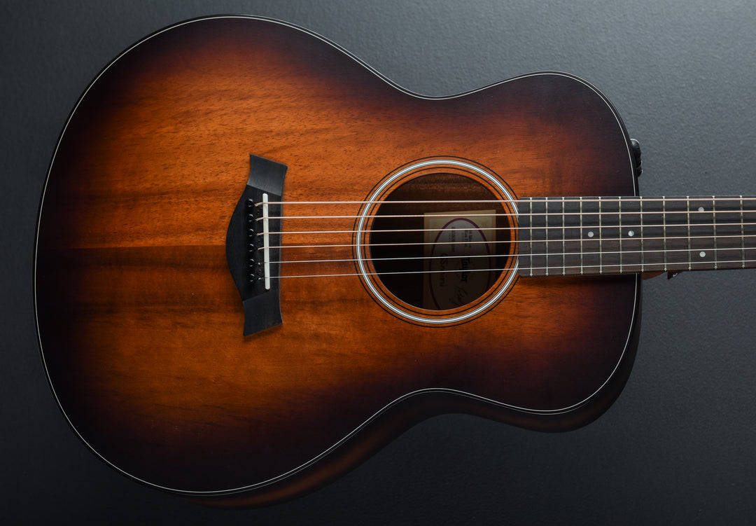 USED GS Mini-e Koa Plus &