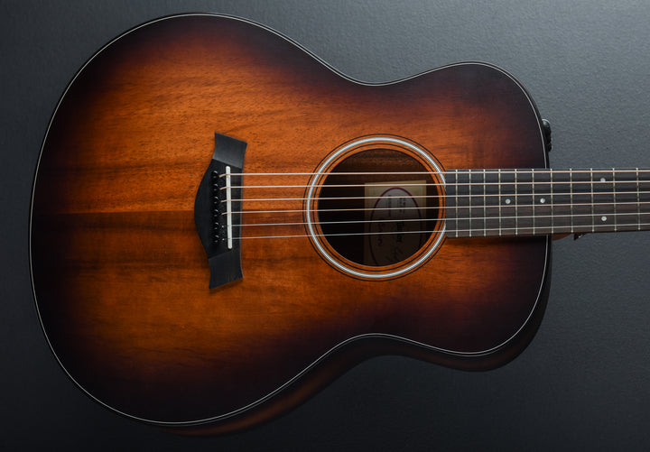 USED GS Mini-e Koa Plus &