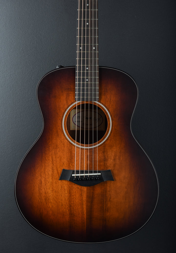 USED GS Mini-e Koa Plus &
