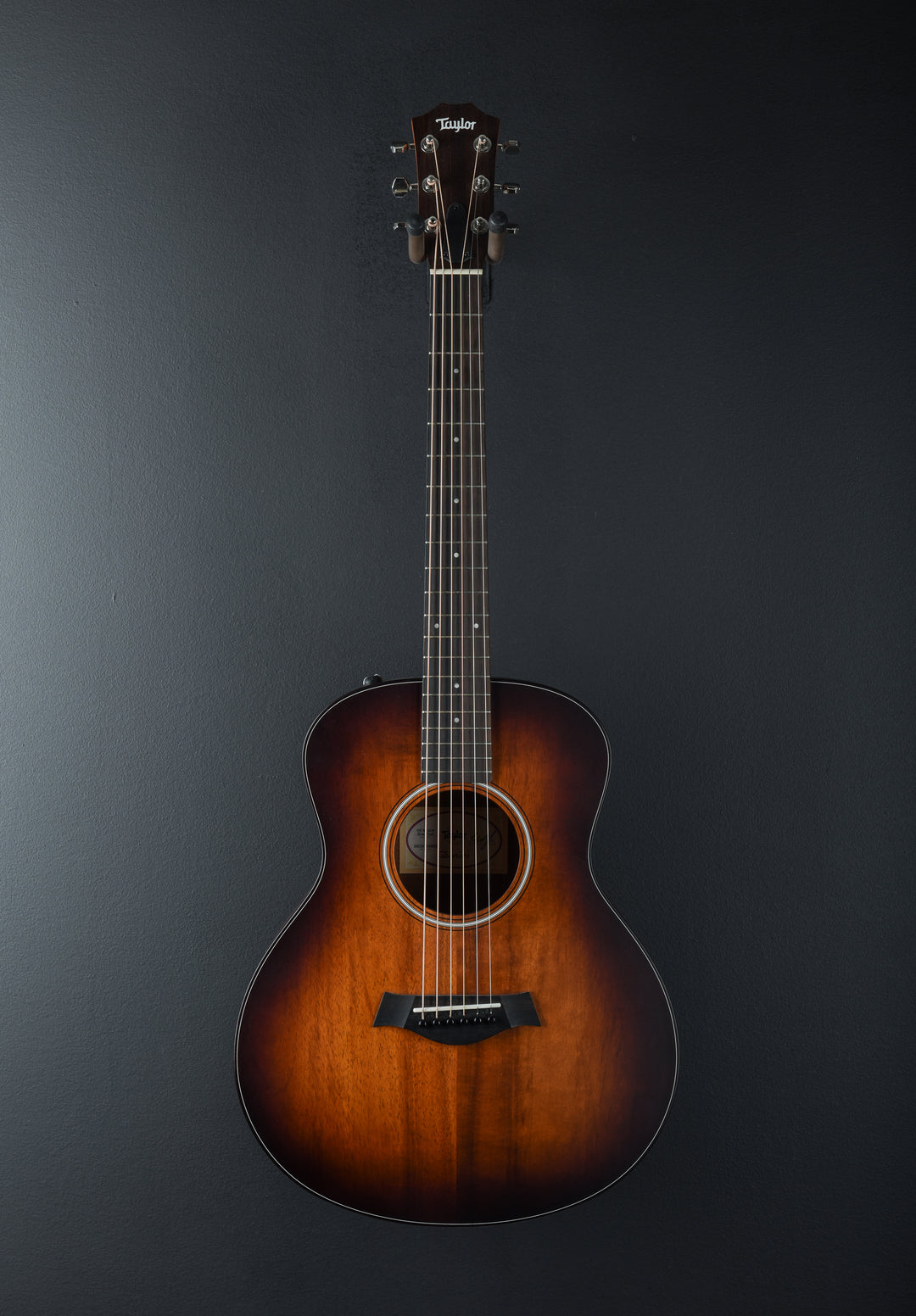 USED GS Mini-e Koa Plus &