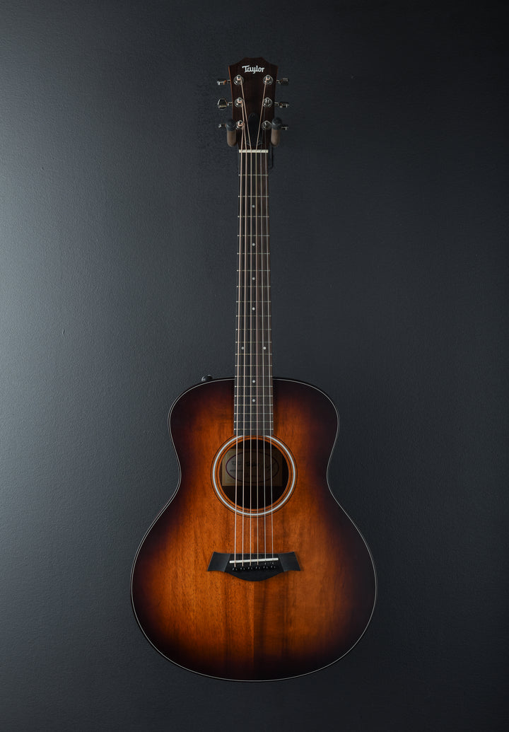 USED GS Mini-e Koa Plus &