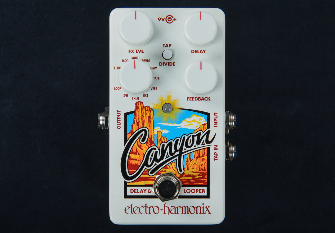 Canyon Delay & Looper – Dave's Guitar Shop