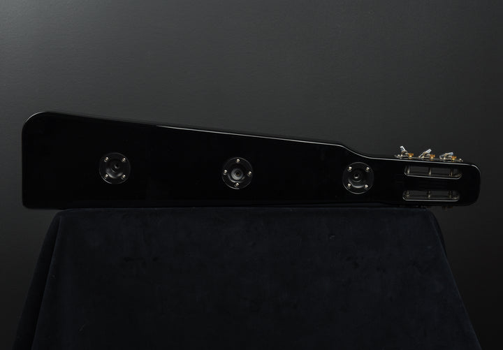 RLS-1 Lap Steel, Recent