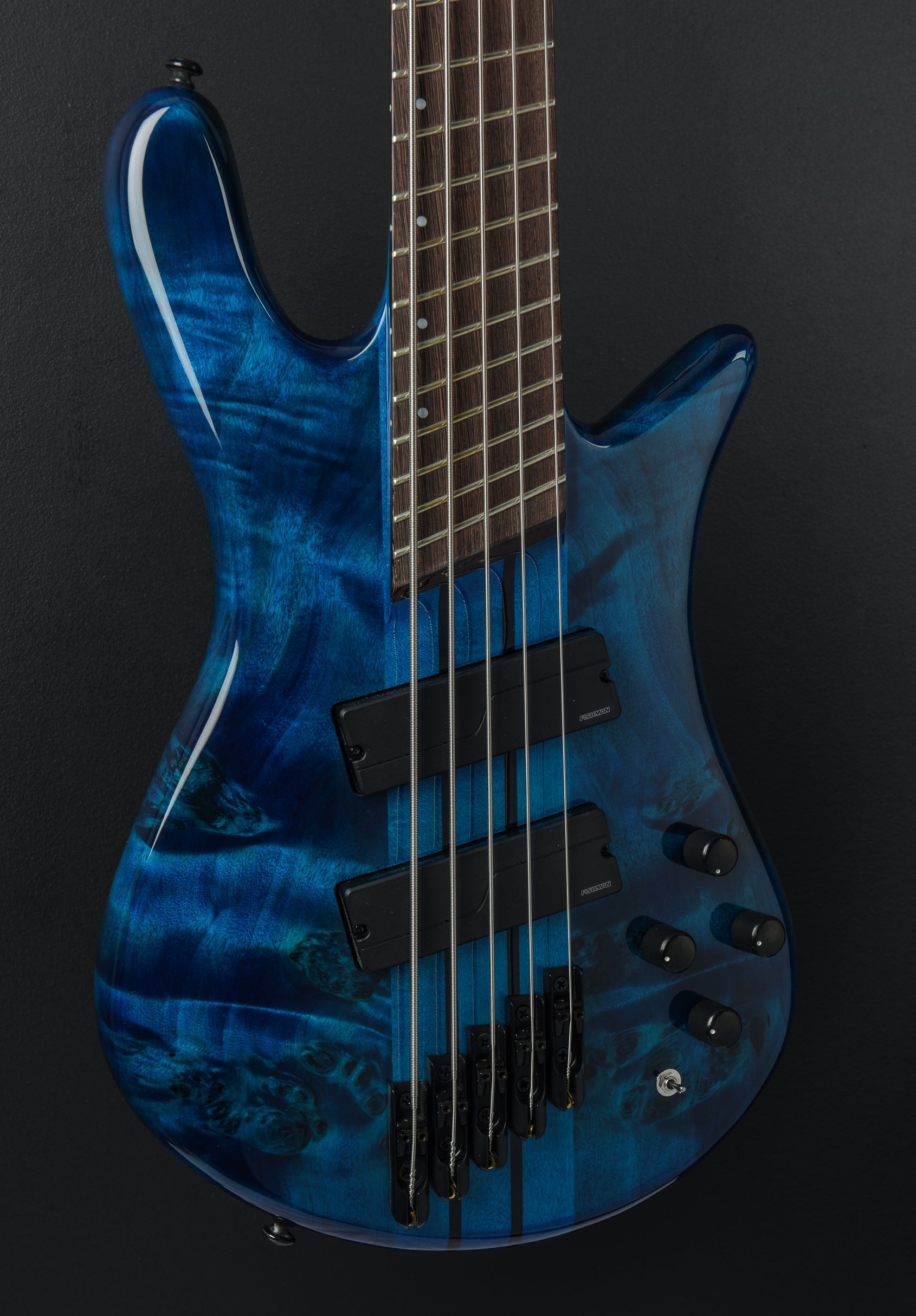 NS Dimension 5 Multi Scale - Black & Blue Gloss – Dave's Guitar Shop