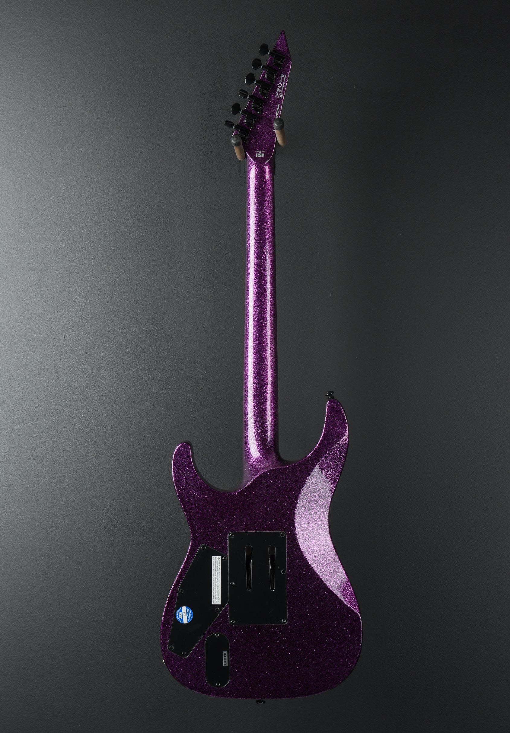 LTD KH-602 - Purple Sparkle – Dave's Guitar Shop