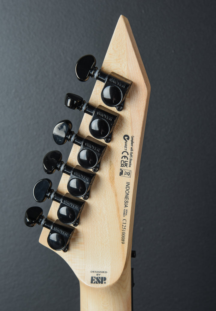 LTD M-1000 Maple - Black