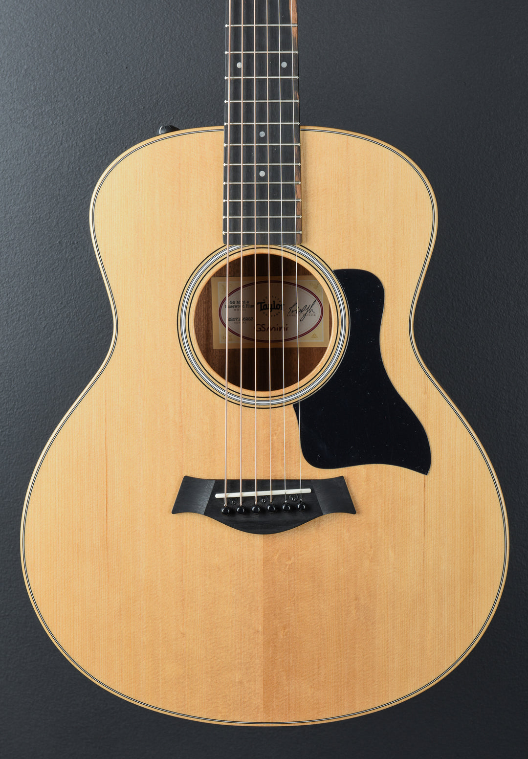 USED GS Mini-E Rosewood Plus &