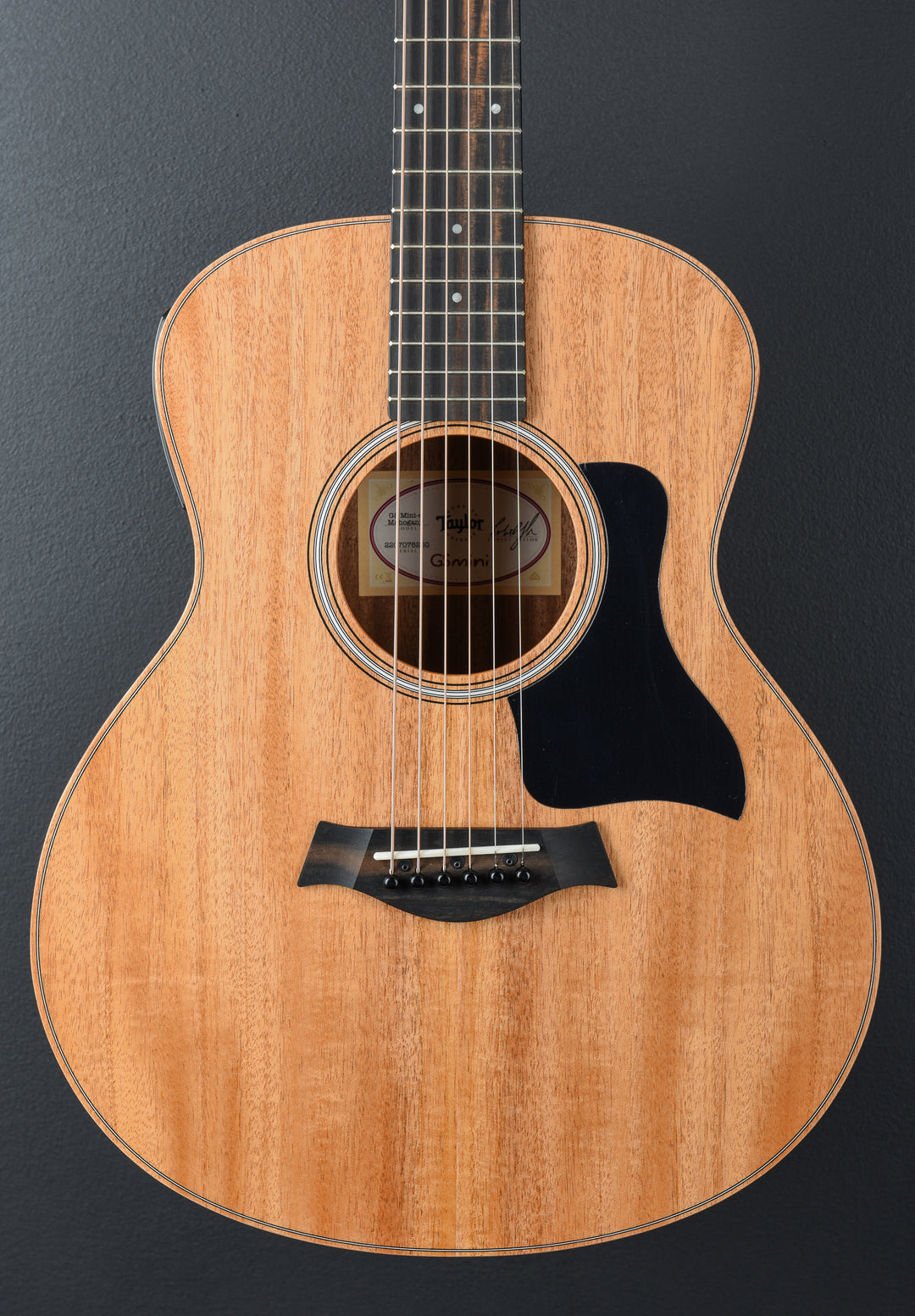 USED GS Mini-E Mahogany &