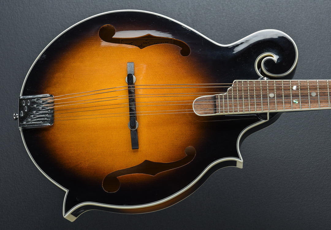 L-Solid Mandolin, Recent