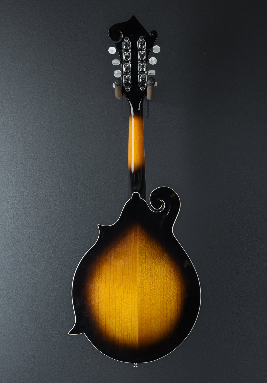 L-Solid Mandolin, Recent