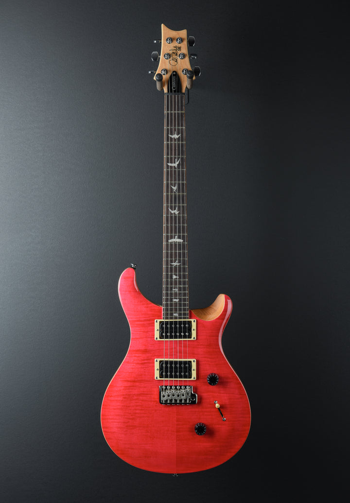 SE Custom 24 '22