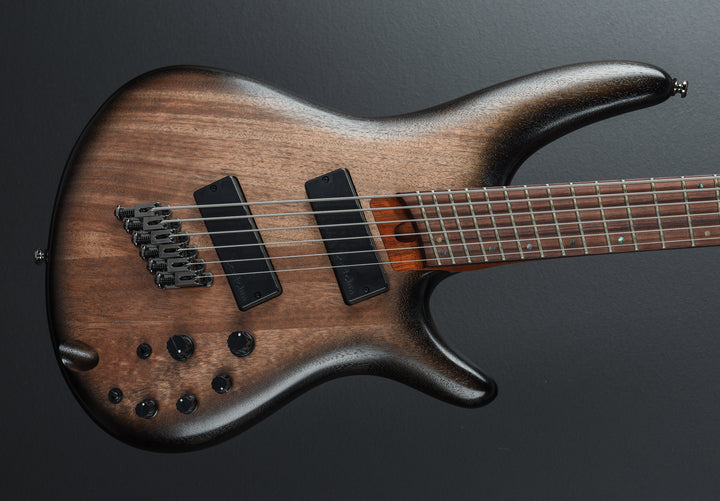 SRC6MS Bass - Black Stained Burst Low Gloss
