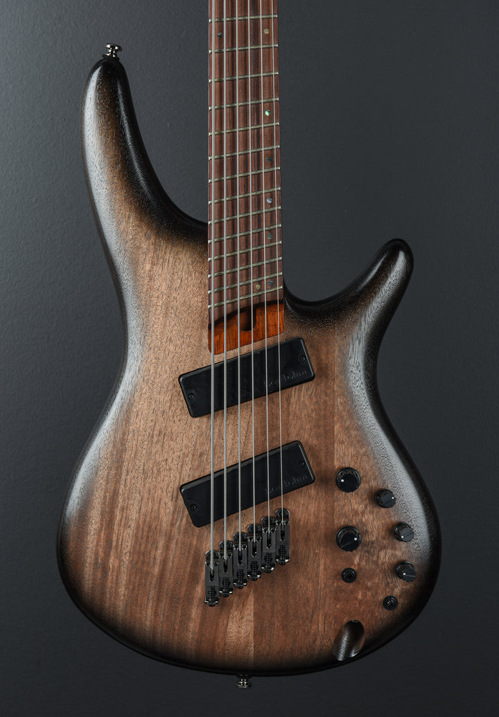 SRC6MS Bass - Black Stained Burst Low Gloss