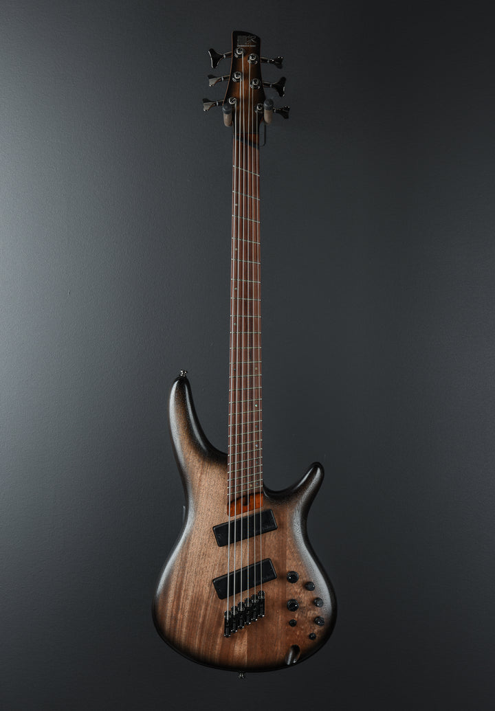 SRC6MS Bass - Black Stained Burst Low Gloss