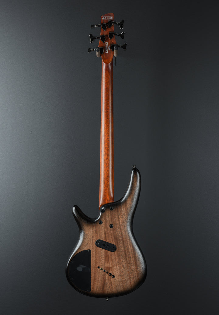 SRC6MS Bass - Black Stained Burst Low Gloss