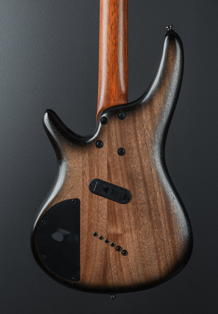 SRC6MS Bass - Black Stained Burst Low Gloss