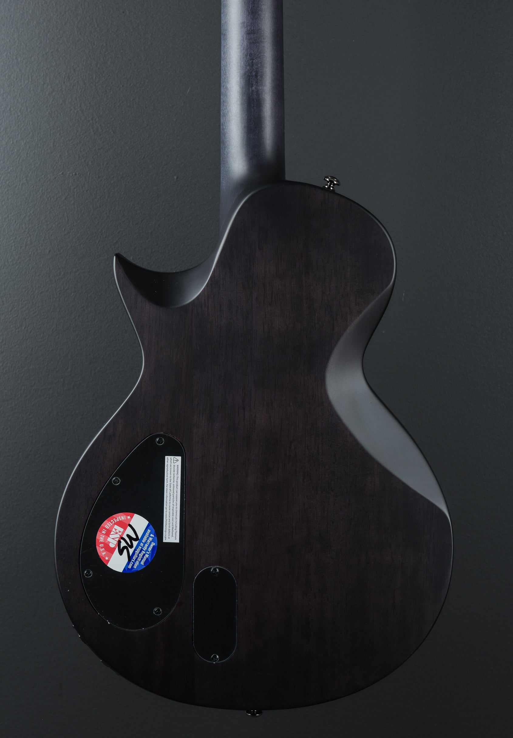 BB-600 Baritone Signature Series Ben Burnley – Dave's Guitar Shop