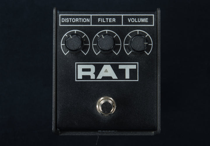 Rat 2, Recent