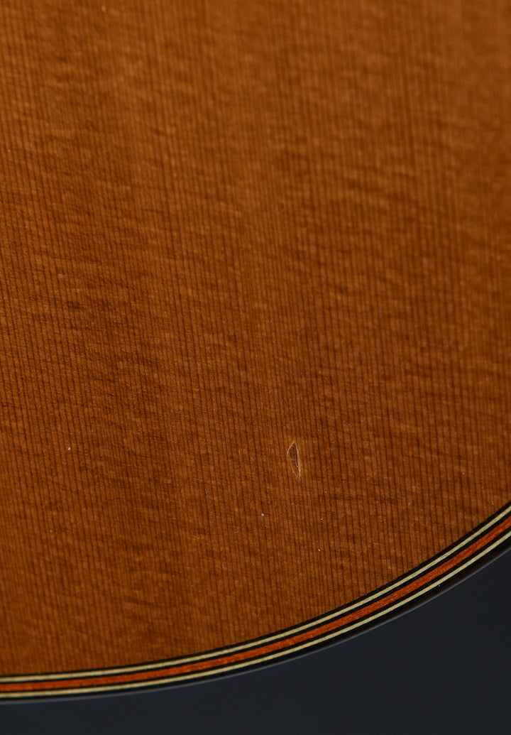 Luthier Series C-10, Recent