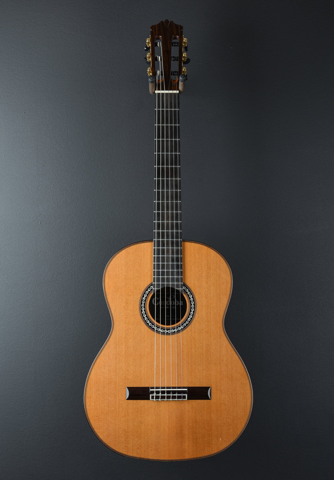 Luthier Series C-10, Recent