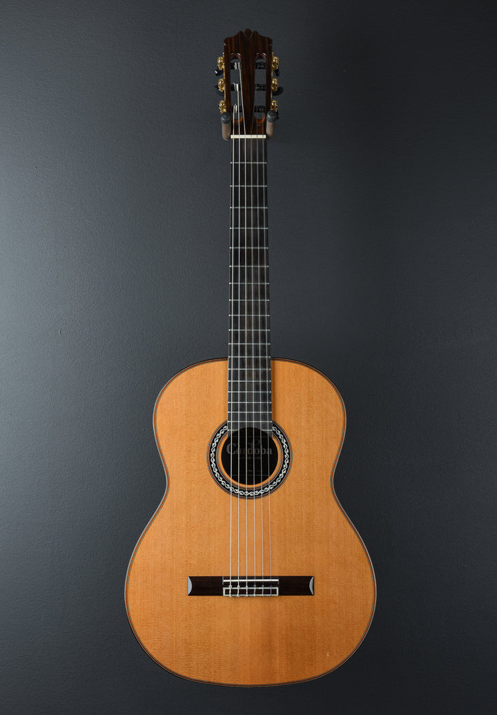 Luthier Series C-10, Recent