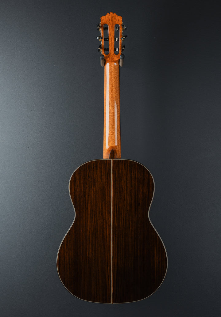 Luthier Series C-10, Recent