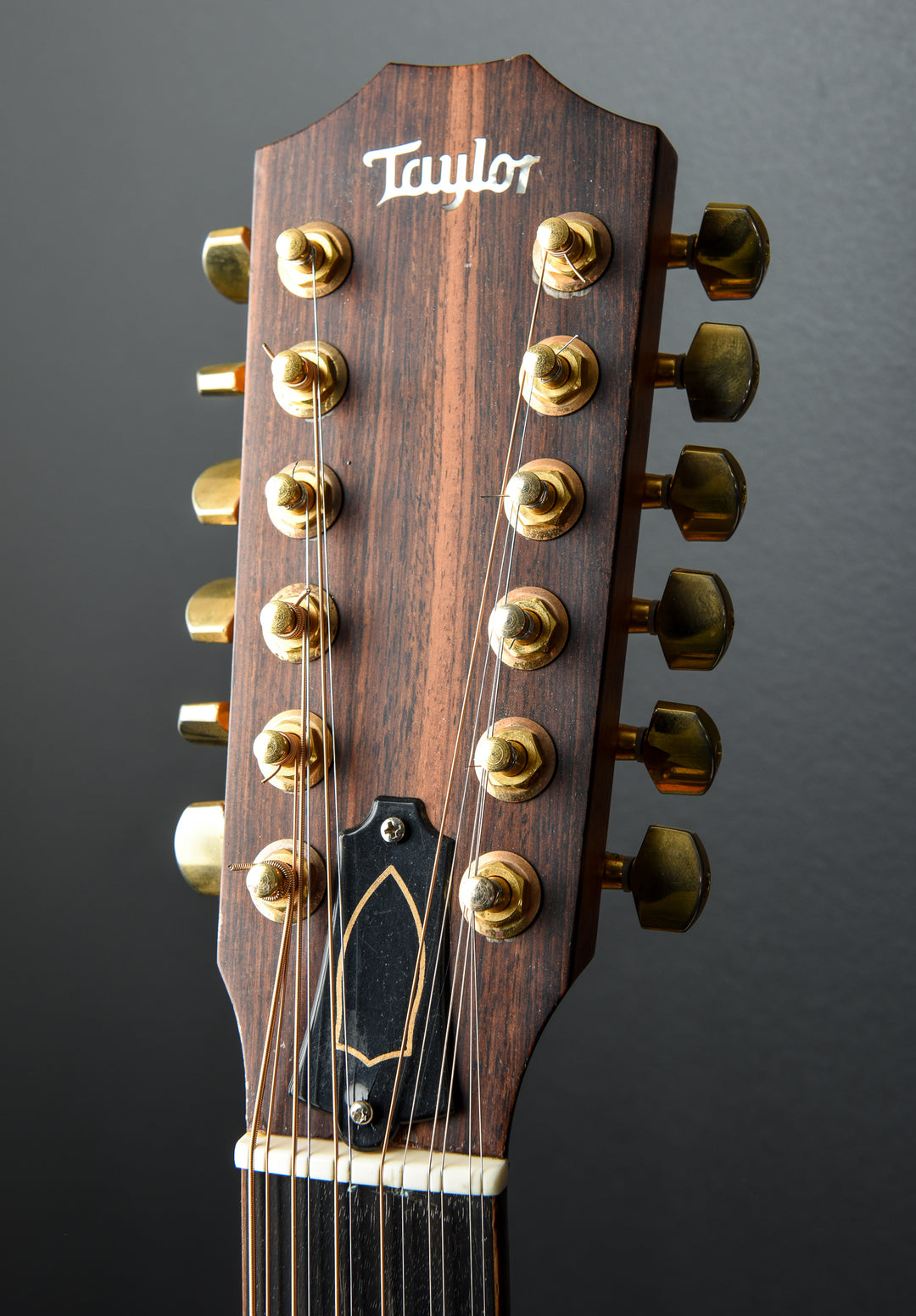 LKSM Leo Kottke Signature 12 String '05