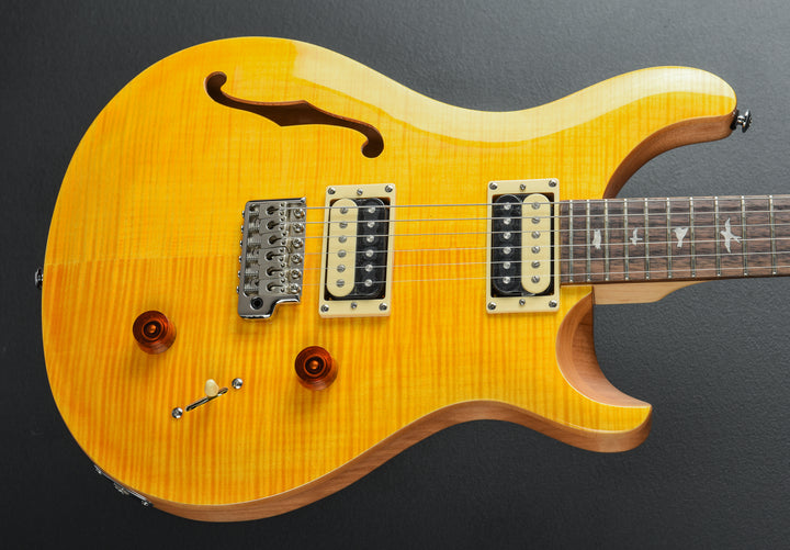 SE Custom 22 Semi-Hollow, '22