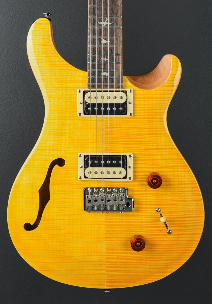 SE Custom 22 Semi-Hollow, '22