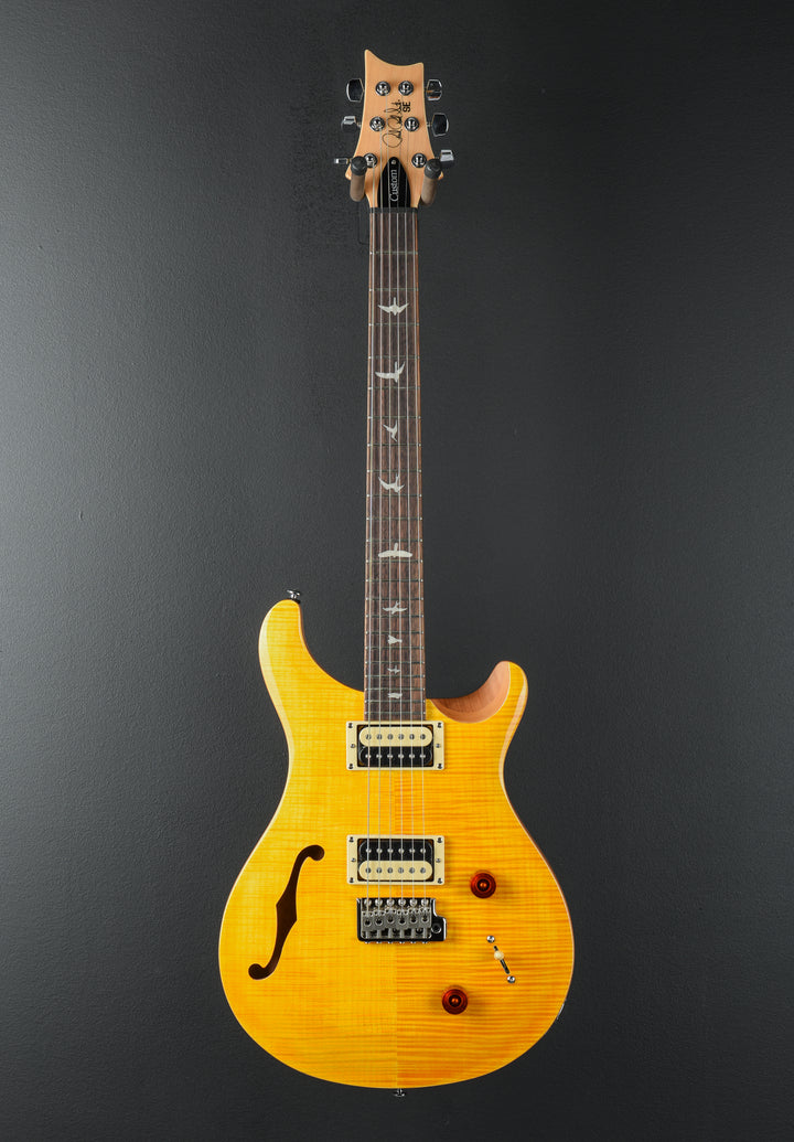 SE Custom 22 Semi-Hollow, '22