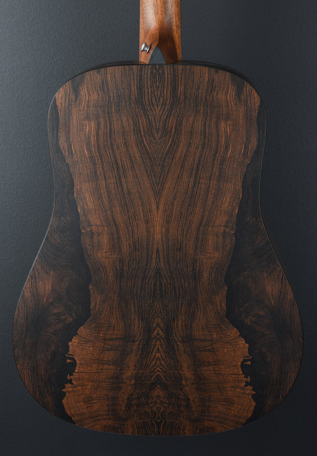 D-X2E 12 String &