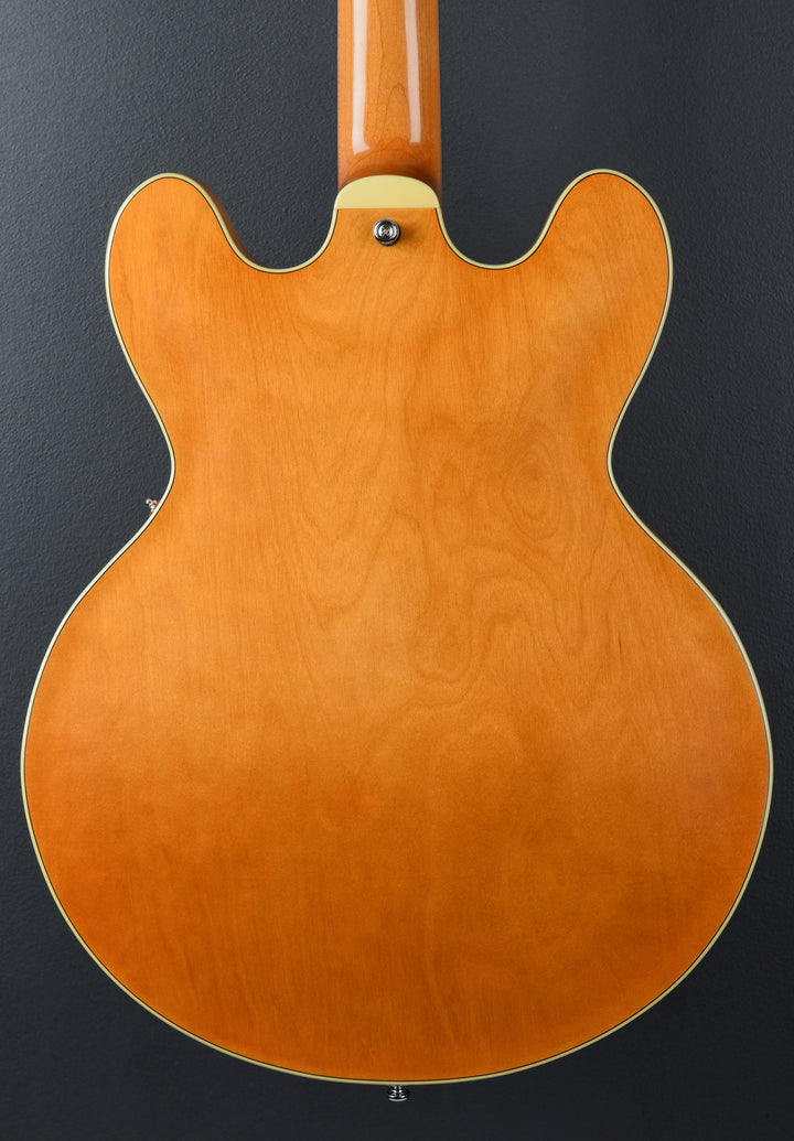 Crossroads Thinline 30 VB, Recent