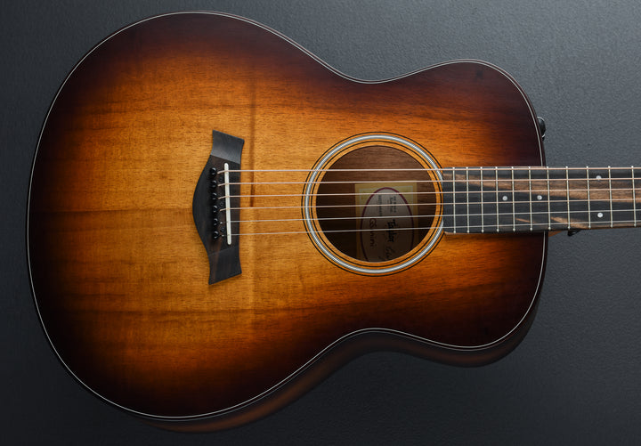 USED GS Mini-E Koa Plus &