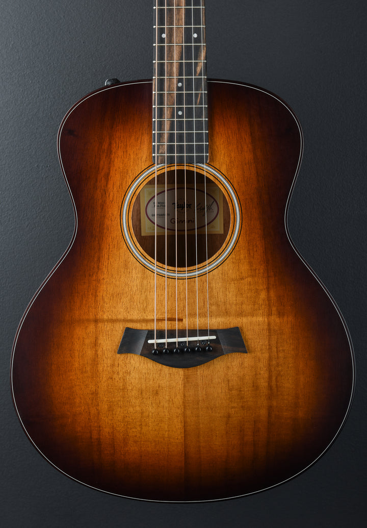 USED GS Mini-E Koa Plus &