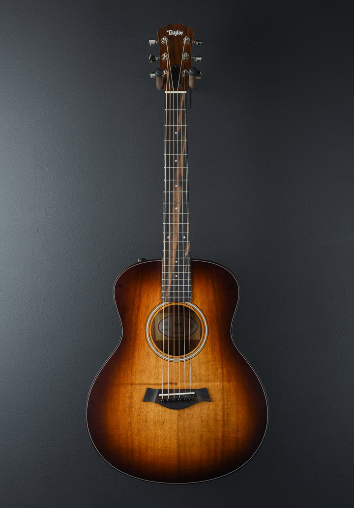 USED GS Mini-E Koa Plus &