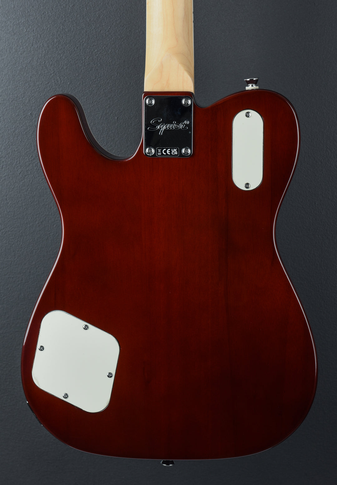 Paranormal Troublemaker Telecaster Deluxe w/Bigsby - Honey Sunburst