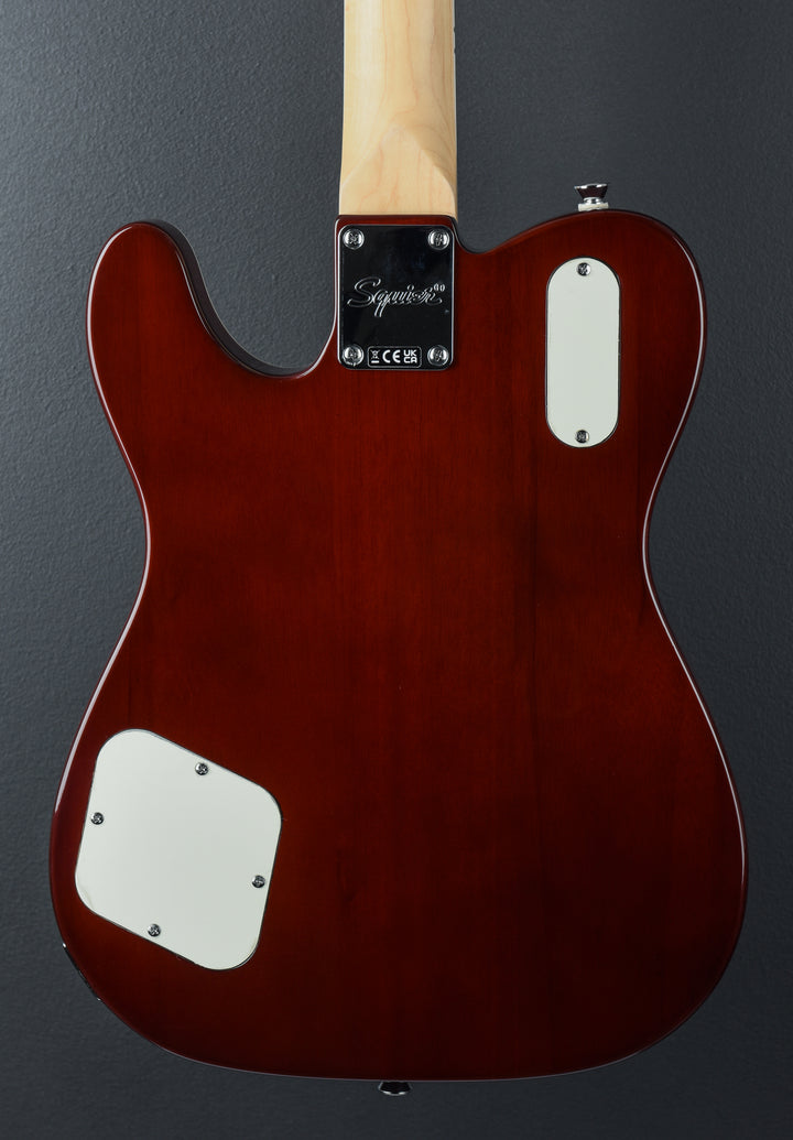 Paranormal Troublemaker Telecaster Deluxe w/Bigsby - Honey Sunburst
