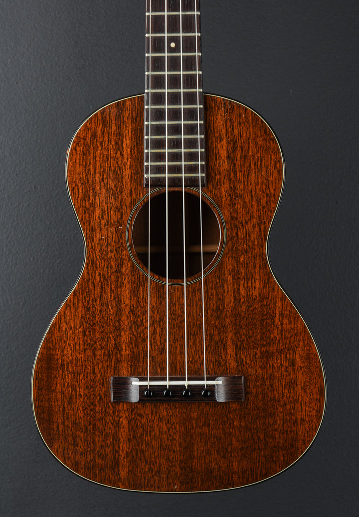 Tenor Uke, Recent